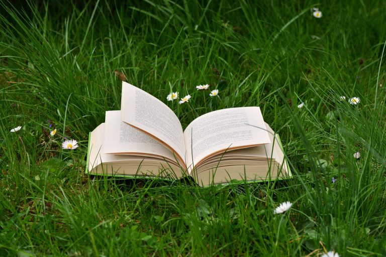 a book, meadow, read relax