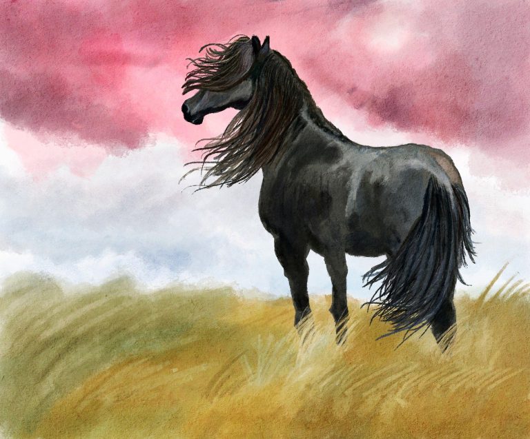 illustration, a horse, meadow