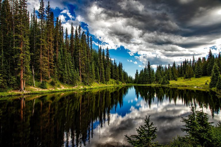 lake, conifers, clouds