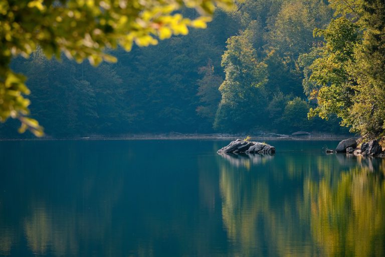 lake, rocks, forest