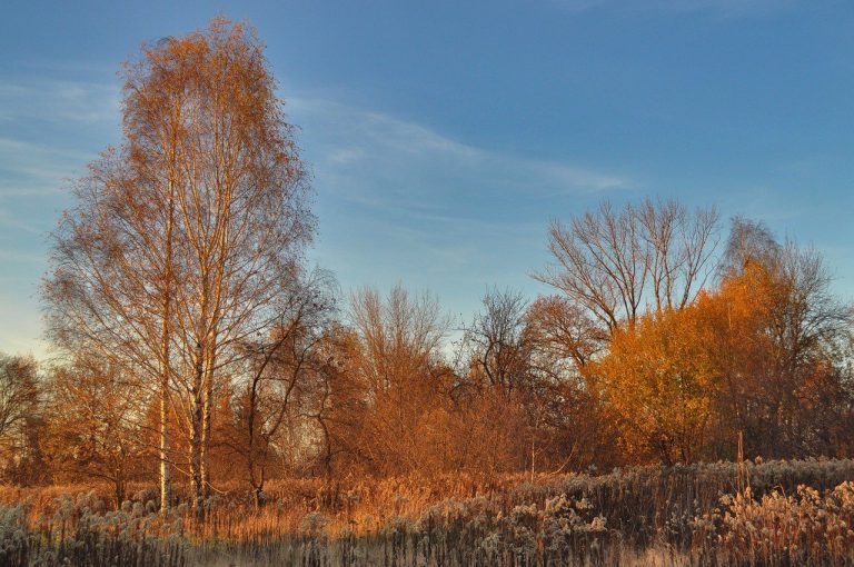 landscape, autumn, evening