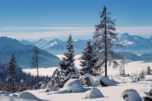 mountains, fog, snow