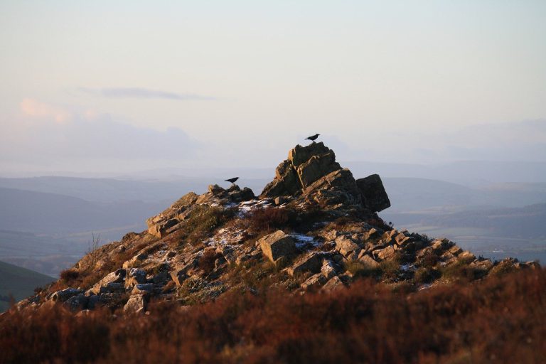 rocks, crows, hills