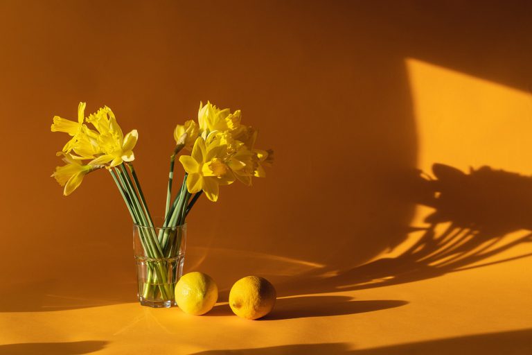 daffodils, home decor, yellow