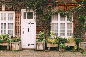 house, nature, home