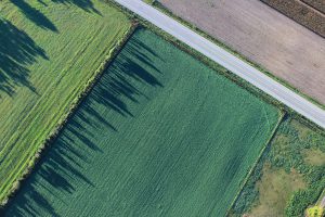 agriculture, cropland, aerial view