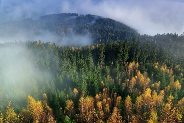 autumn, mountains, trees