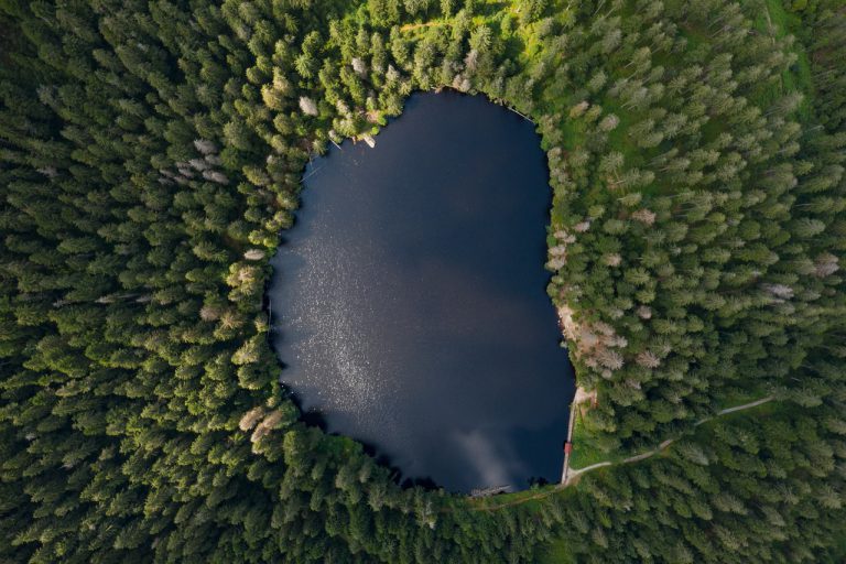 lake, trees, forest