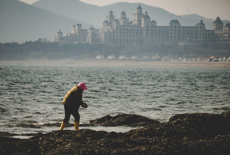 marine, to clean up, city view