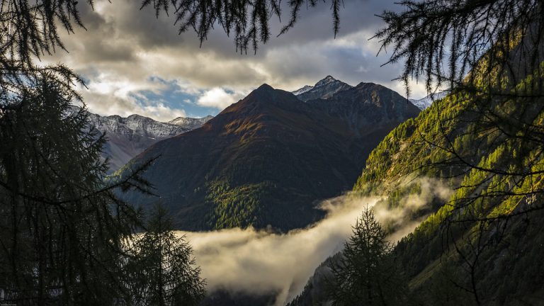 mountains, fog, trees