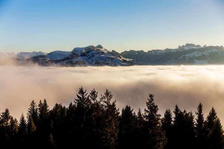 mountains, fog, trees