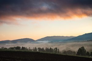 mountains, sunrise, trees