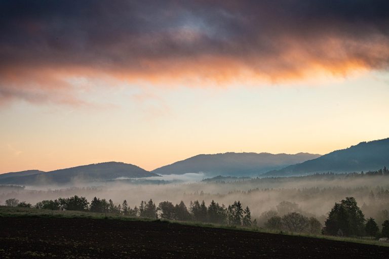 mountains, sunrise, trees